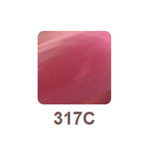 リッカジェル カラージェル 317C 3g