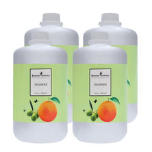 シャーナーズアーユルヴェーダ シャーハーブ 1000ml&times;4（4L）【業務用】