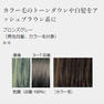 ジャパンヘナ ブロンズグレー 500g 3