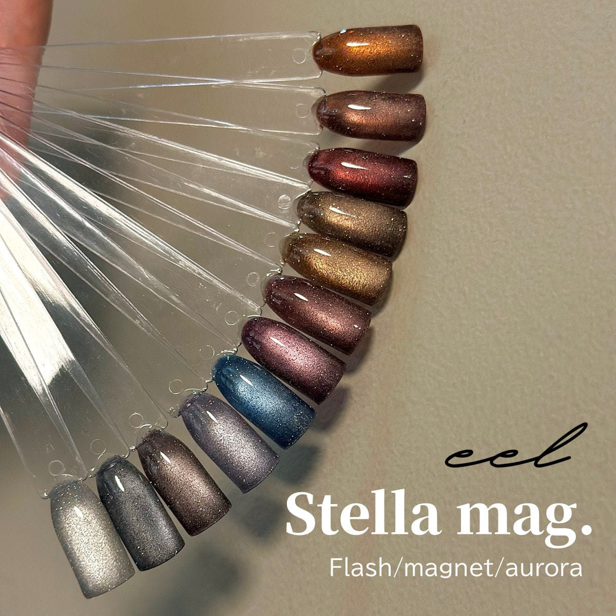 eel ステラマグ 01 grayの卸・通販 | ビューティガレージ