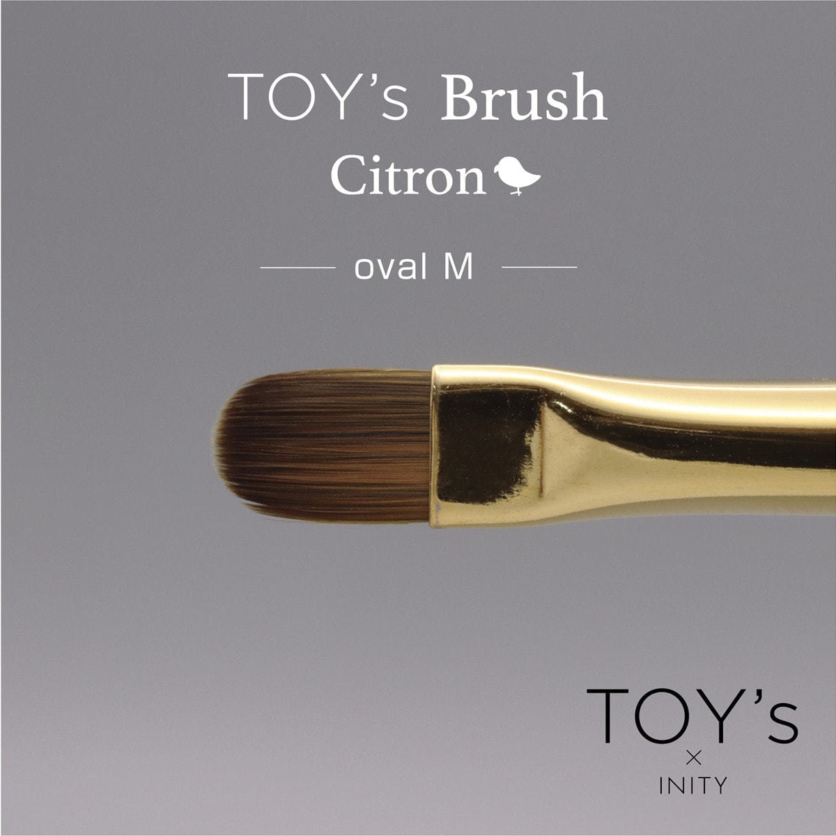 T-CBR-OM】TOY's×Citron ジェルブラシ オーバルMの卸・通販