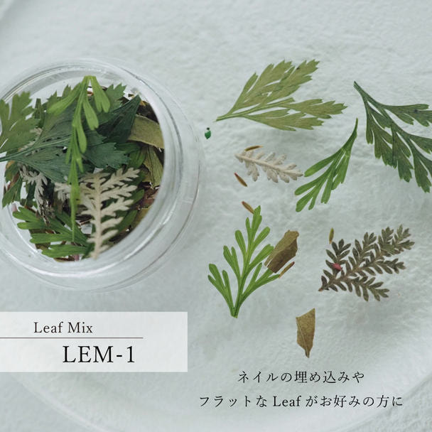 SMint リーフミックス LEM-1 1
