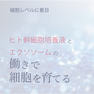 BiEST(ビエスト) fumieEX 水素パック 4回分【店販用】 4