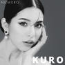フラットラッシュ 1列＜KURO＞[Jカール太さ0.15長さ6mm] 9