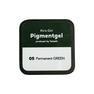 KiraNail（キラネイル）Takeshiプロデュース Pigmentgel  05 Permanent GREEN