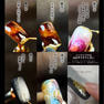 TOY’s × INITY 極み国宝級ノンワイプゴールド 5g 5