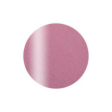 Calgel カラーカルジェルプラス シャインラズベリー 2.5g