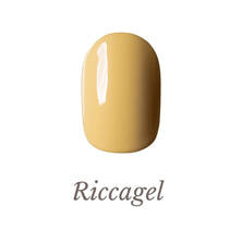 リッカジェル カラージェル 071M 3g