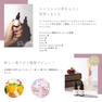 CON'CELECT+ オーガニックネイルオイル new me / 決意 5