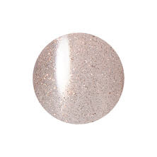 レイジェルマグネットカラージェル 025MG 5g