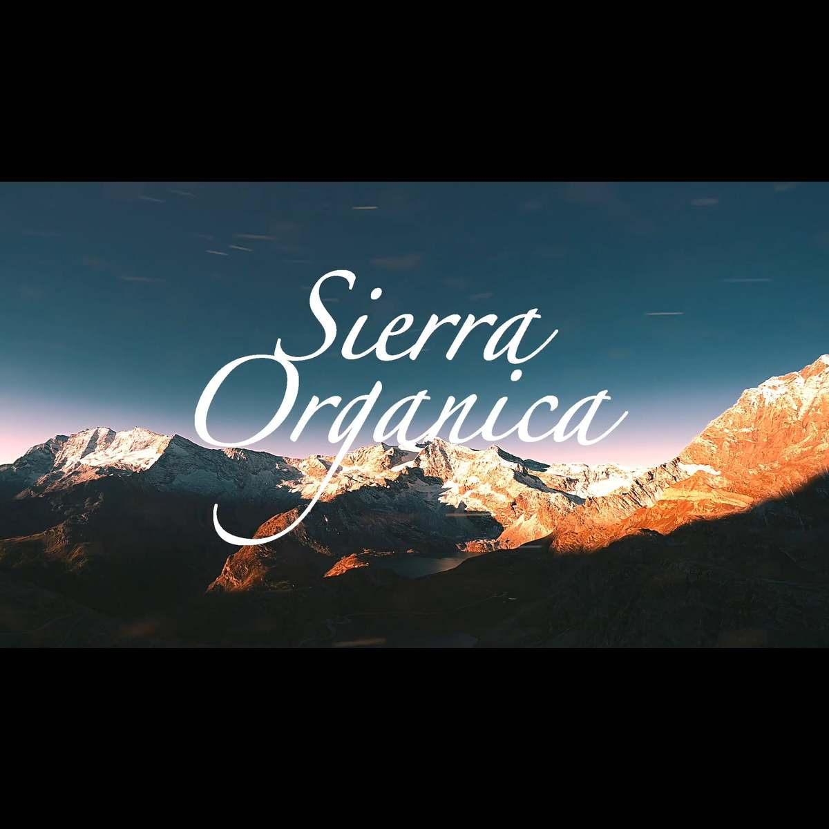 2244円 【超歓迎された】 クロロフィルと41種のハーブ配合のオーガニック認証ノンシリコンシャンプー Sierra Organica シエラ オーガニカ BBシャンプー ダメージヘア用 250ml 2244円 【超歓迎された】 クロロフィルと41種のハーブ配合のオーガニック認証ノンシリコンシャンプー Sierra Organica シエラ オーガニカ BBシャンプー ダメージヘア用 250ml
