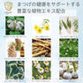 【Angelic】Swift Lift 1・2セット 各25ｇ 3
