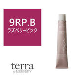 テラ by エッセンシティ 9RP.B《グレイカラー》85g【医薬部外品】