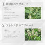 12cosme NMローション 120ml 4