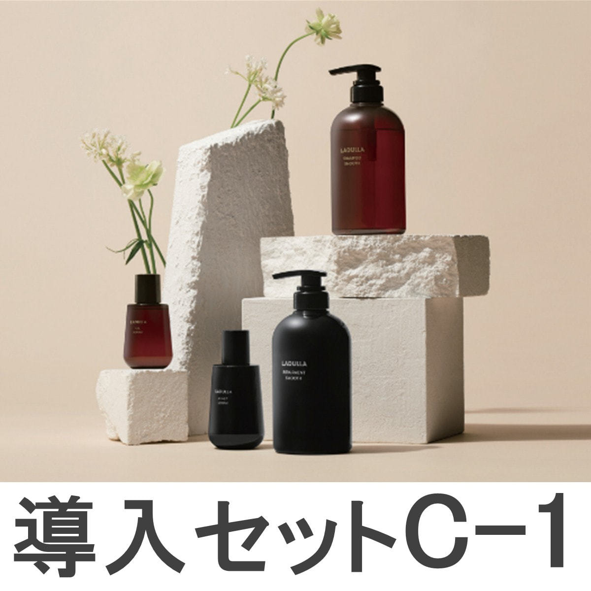ラデュラ 初回導入セット C-1の卸・通販 | ビューティガレージ