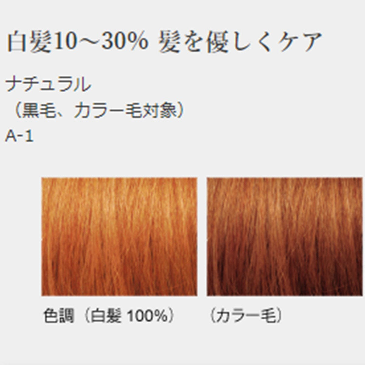 ジャパンヘナ ナチュラル 500g の卸・通販 | ビューティガレージ