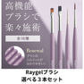 Raygelブラシ 選べる3本セット 1