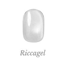 リッカジェル アイアンサンドジェル FE00 3g