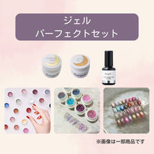 Raygel ジェルパーフェクトセット
