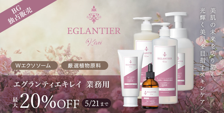 エグランティエ業務用キレイシリーズga最大20%OFF！5/21まで