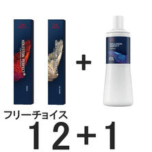 【フリーチョイス12+1】コレストンパーフェクトプラス ロイヤルブロンド≪ファッションカラー≫【医薬部外品】 【フリーチョイス12+1】コレストンパーフェクトプラス ロイヤルブロンド≪ファッションカラー≫【医薬部外品】