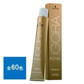 イゴラ ロイヤル ピクサム-G G-A9《グレイカラー》80g【医薬部外品】