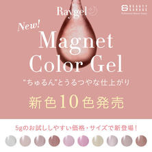 Raygel マグネットカラージェル新色10色セット ５g