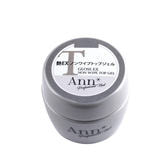 Ann Professional 艶EXノンワイプトップジェル 10g