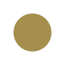 [PG-CEL28] プリジェル カラーEX ライナーマスタード 3g