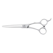 サクシード ELLENA（エレーナ・メガネタイプ）