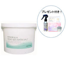 ミネラリア デッドシーバスソルト ナチュラル 5kg（バケツ入り）