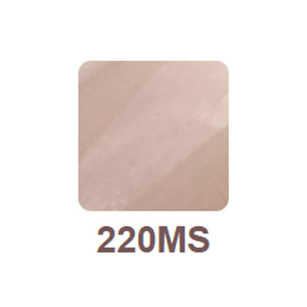 リッカジェル カラージェル 220MS 5g