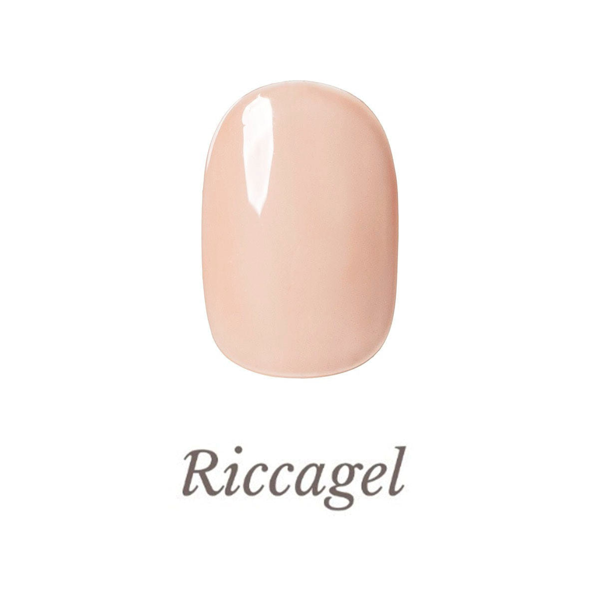 リッカジェル カラージェル 239MS 3gの卸・通販 | ビューティガレージ