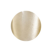 レイジェルマグネットカラージェル 039MG