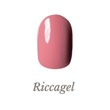 リッカジェル カラージェル 284M 3g