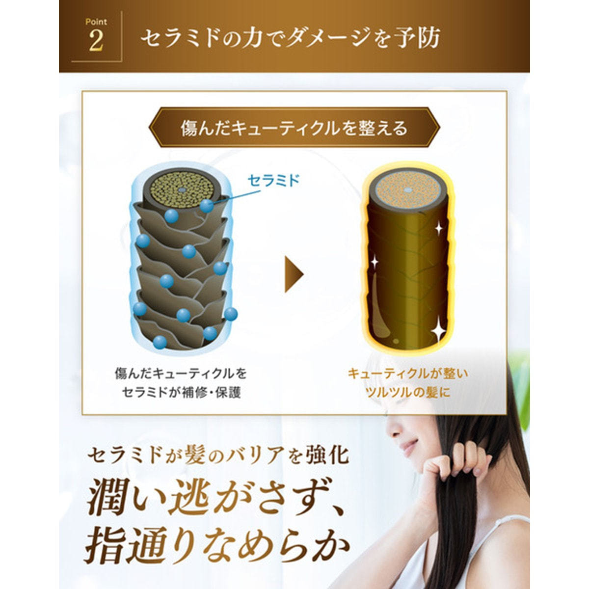 クリームPPT S トリートメント 1000gの卸・通販 | ビューティガレージ