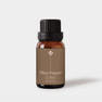 【BL】ファイバープライマー（シトラス）15ml 1