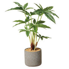 フェイクグリーン 観葉植物<パキラ>(卓上) フェイクグリーン 観葉植物<パキラ>(卓上)