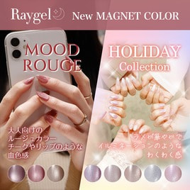 数量限定！】Raygel HOLIDAY Collection＆MOOD ROUGE 8色セットの卸