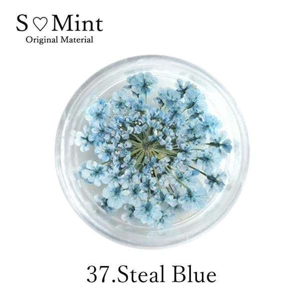 SMint レースフラワー 37.スチールブルー