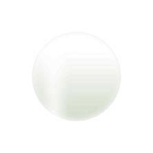 Calgel カラーカルジェルプラス エメラルドシェル 2.5g