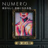 【松風】NUMEROフラットラッシュ＜モーヴフィグ&モードカーキ＆サンドベージュMIX＞　 5