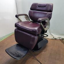 イノーヴァEX 背もたれ分離 レッグレスト単動 イノーヴァEX 背もたれ分離 レッグレスト単動