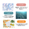 ツバメの巣＆コラーゲン6000（50ml×10本） 4