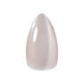 KOKOIST Water Magnet WM-26 Rose Nude Water 1