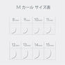 フラットマットラッシュ(BLK)[Oカール太さ0.15長さ8mm] 11
