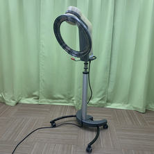 ローラーボール２・グリップ型/フォギーホワイト