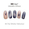 Calgel カラーカルジェルプラス エターナルピンク 2.5g 3