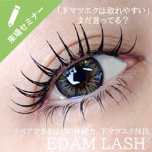 持続する下まつげ接着法EDAM LASH