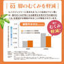 ハリプラス ヒハツジンジャー 300mg×30カプセル【機能性表示食品】 6